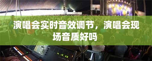 演唱会实时音效调节,演唱会现场音质好吗