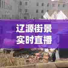 辽源街景实时直播,辽源全景地图