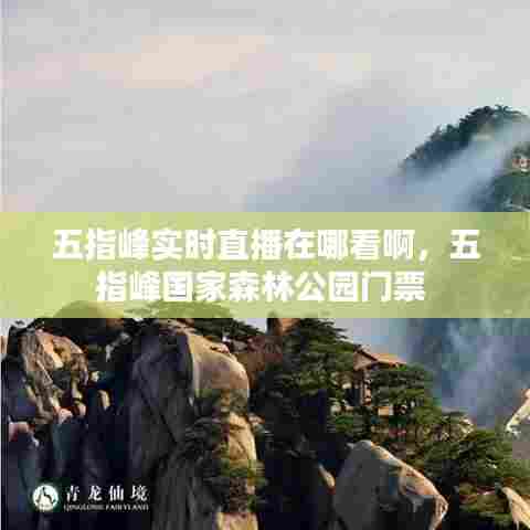 五指峰实时直播在哪看啊，五指峰国家森林公园门票 