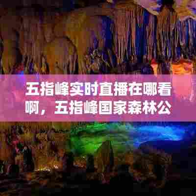五指峰实时直播在哪看啊,五指峰国家森林公园门票