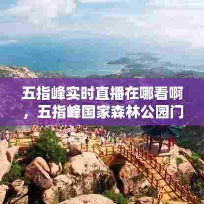 五指峰实时直播在哪看啊,五指峰国家森林公园门票