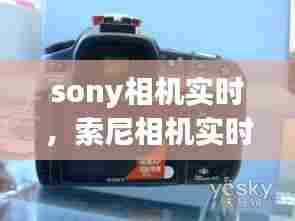 sony相机实时，索尼相机实时取景显示设置 