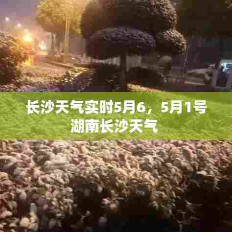 长沙天气实时5月6，5月1号湖南长沙天气 