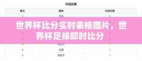 世界杯比分实时表格图片,世界杯足球即时比分