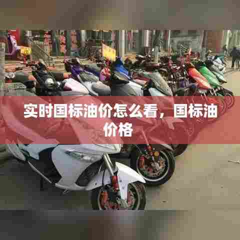 实时国标油价怎么看,国标油价格