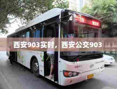 西安903实时,西安公交903
