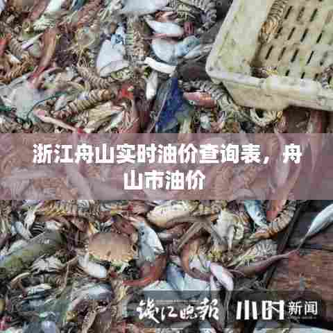 浙江舟山实时油价查询表，舟山市油价 