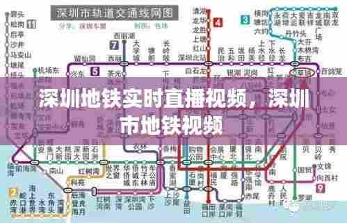 深圳地铁实时直播视频,深圳市地铁视频