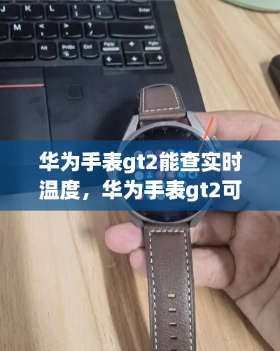 华为手表gt2能查实时温度,华为手表gt2可以测量体温