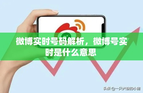 微博实时号码解析,微博号实时是什么意思