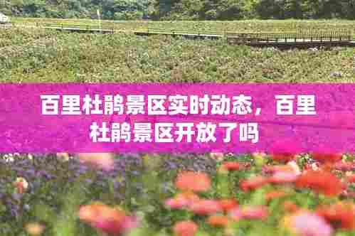 百里杜鹃景区实时动态,百里杜鹃景区开放了吗