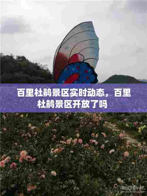 百里杜鹃景区实时动态,百里杜鹃景区开放了吗