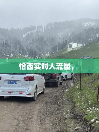 恰西实时人流量,