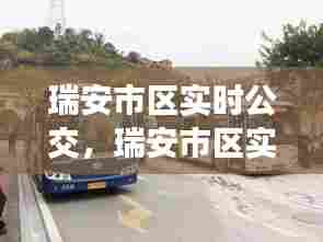瑞安市区实时公交,瑞安市区实时公交线路