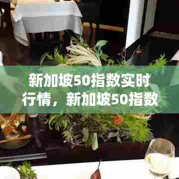 新加坡50指数实时行情，新加坡50指数实时行情新浪 