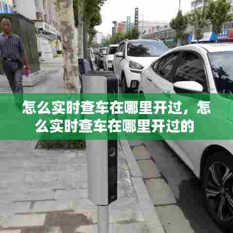 打张鸡儿 第8页