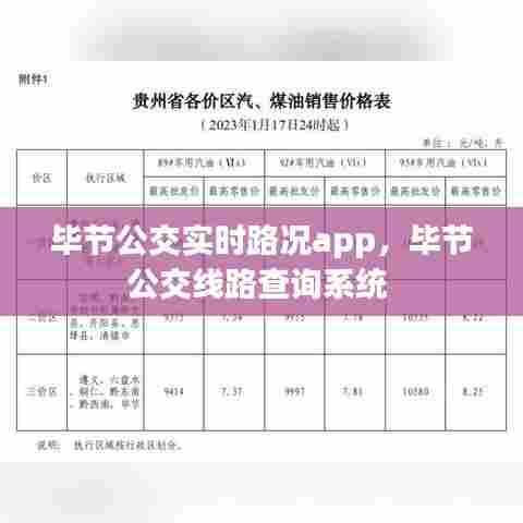 毕节公交实时路况app，毕节公交线路查询系统 
