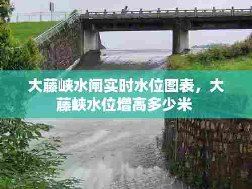 大藤峡水闸实时水位图表,大藤峡水位增高多少米