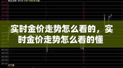 实时金价走势怎么看的，实时金价走势怎么看的懂 