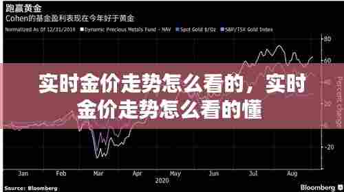 实时金价走势怎么看的,实时金价走势怎么看的懂