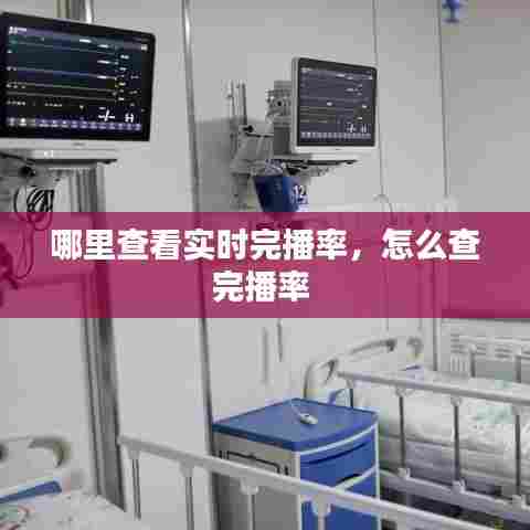 哪里查看实时完播率，怎么查完播率 