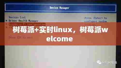 树莓派+实时linux,树莓派welcome