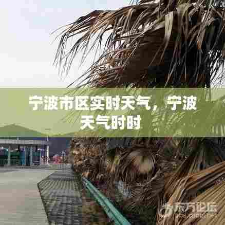 宁波市区实时天气，宁波天气时时 