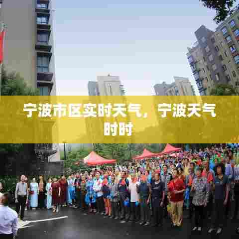 宁波市区实时天气,宁波天气时时