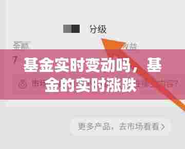 基金实时变动吗，基金的实时涨跌 