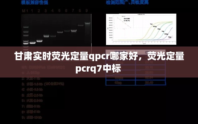 甘肃实时荧光定量qpcr哪家好,荧光定量pcrq7中标