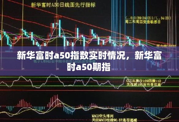 新华富时a50指数实时情况，新华富时a50期指 