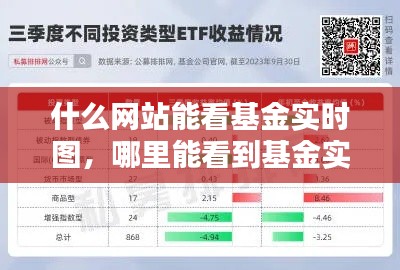 什么网站能看基金实时图,哪里能看到基金实时行情
