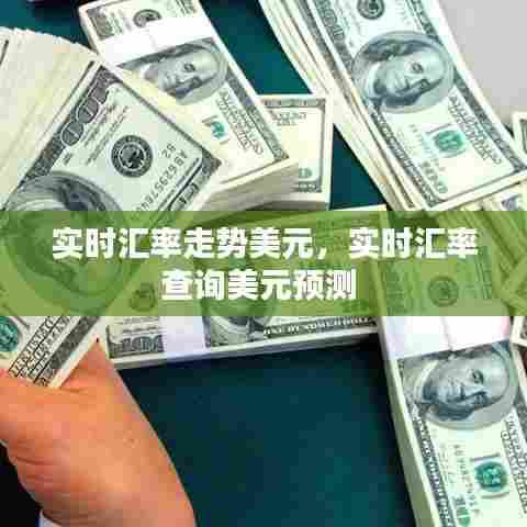 实时汇率走势美元，实时汇率查询美元预测 