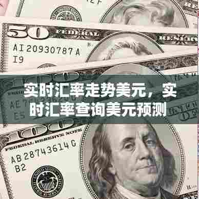 实时汇率走势美元,实时汇率查询美元预测
