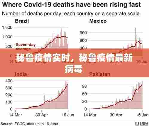 秘鲁疫情实时,秘鲁疫情最新病毒