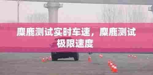 麋鹿测试实时车速,麋鹿测试极限速度