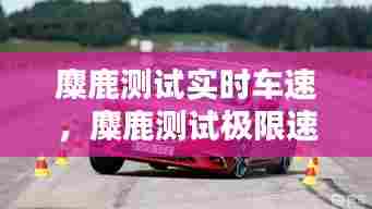 麋鹿测试实时车速,麋鹿测试极限速度