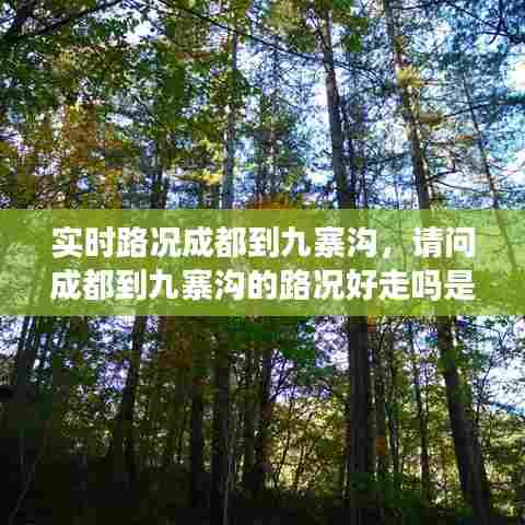 实时路况成都到九寨沟,请问成都到九寨沟的路况好走吗是不是山路