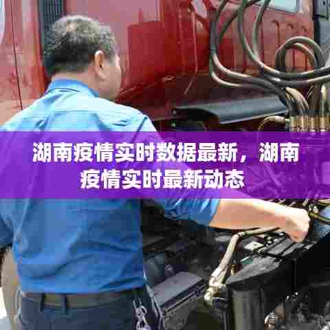 湖南疫情实时数据最新，湖南疫情实时最新动态 