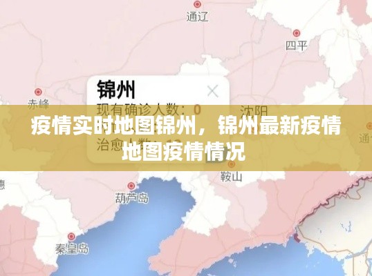 疫情实时地图锦州,锦州最新疫情地图疫情情况