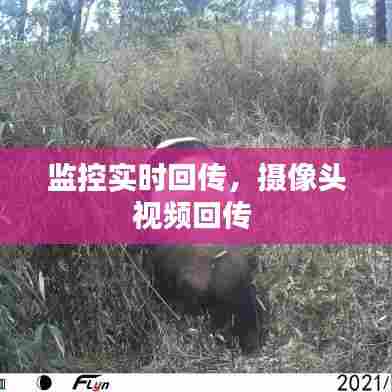监控实时回传,摄像头视频回传