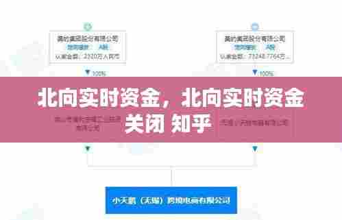 北向实时资金,北向实时资金关闭 知乎