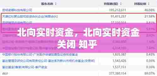 北向实时资金,北向实时资金关闭 知乎