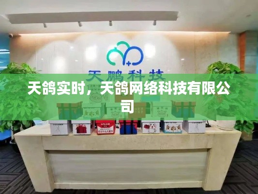 天鸽实时，天鸽网络科技有限公司 
