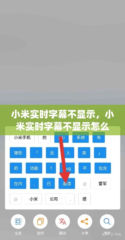 小米实时字幕不显示，小米实时字幕不显示怎么回事 