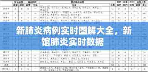 新肺炎病例实时图解大全，新馆肺炎实时数据 