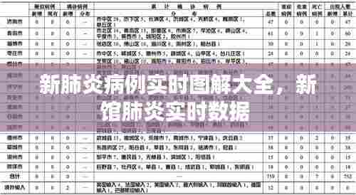 新肺炎病例实时图解大全,新馆肺炎实时数据
