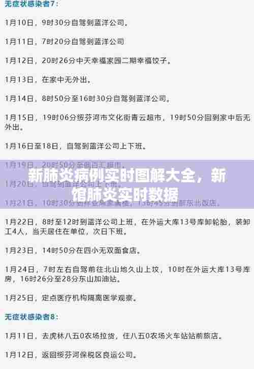 新肺炎病例实时图解大全,新馆肺炎实时数据