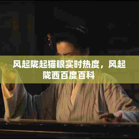 风起陇起猫眼实时热度，风起陇西百度百科 