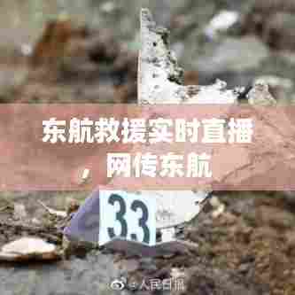 东航救援实时直播，网传东航 
